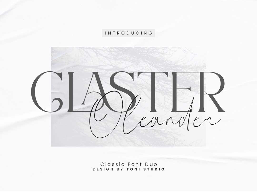 Claster Oleander英文字体设计素材.otf .ttf .woff安装包